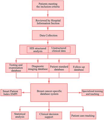 Research on the Construction and Application of Breast Cancer-Specific Database System Based on Full Data Lifecycle